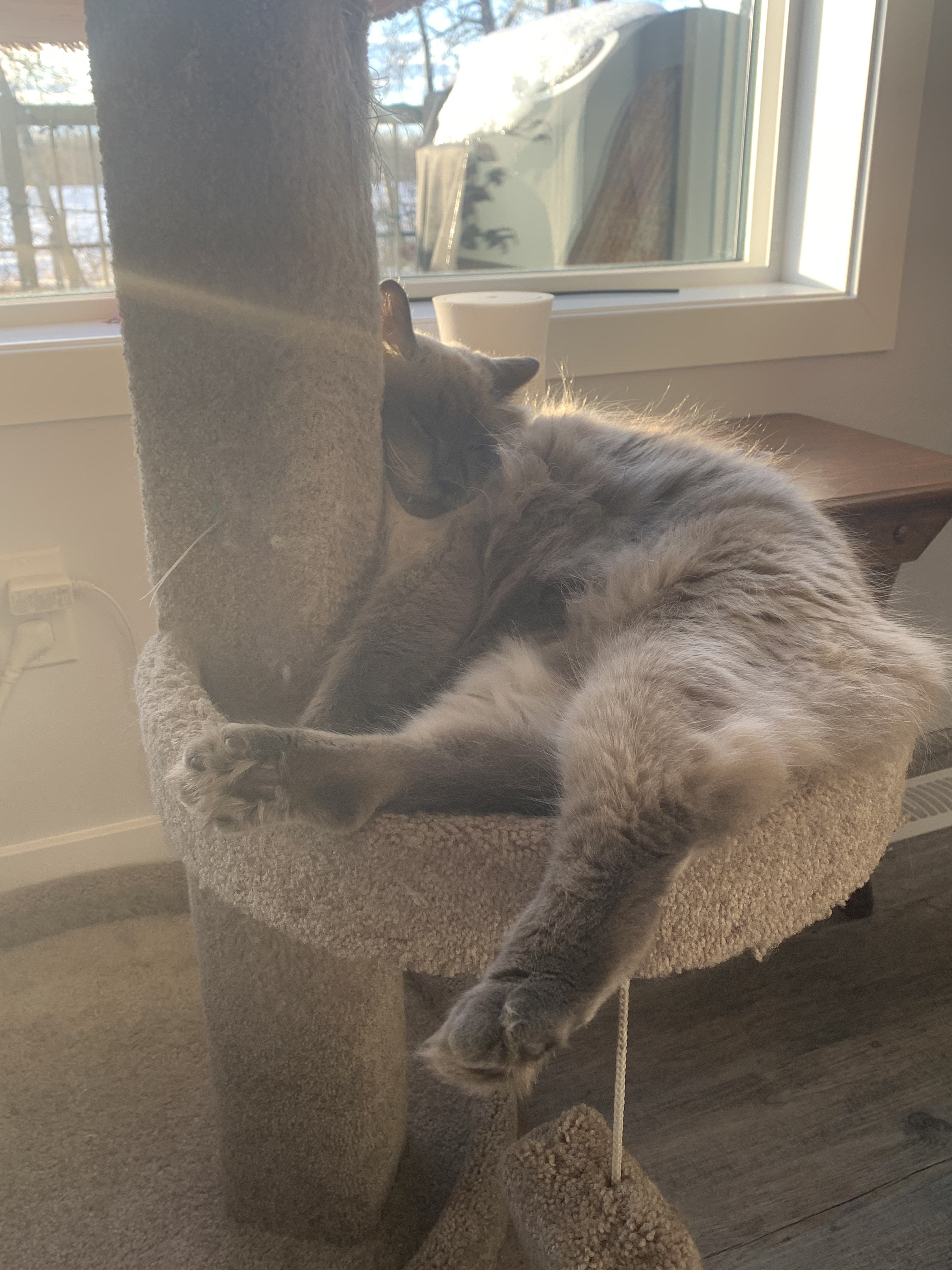 Reikou at margerets place